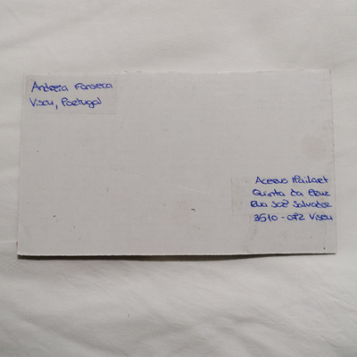 27.01.2022 . 14.30 | OFICINA
27.01.2022 . 14.30 | OFICINA