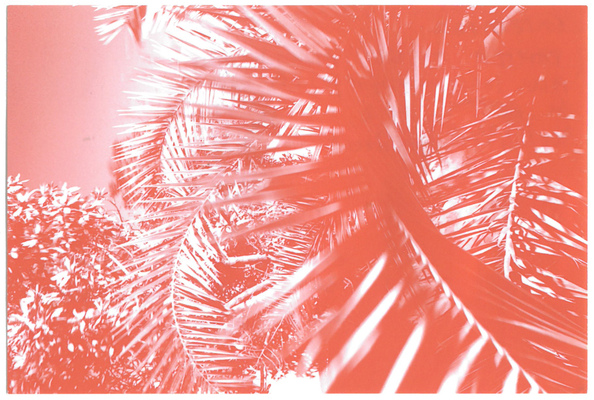 s/ título
s/ título