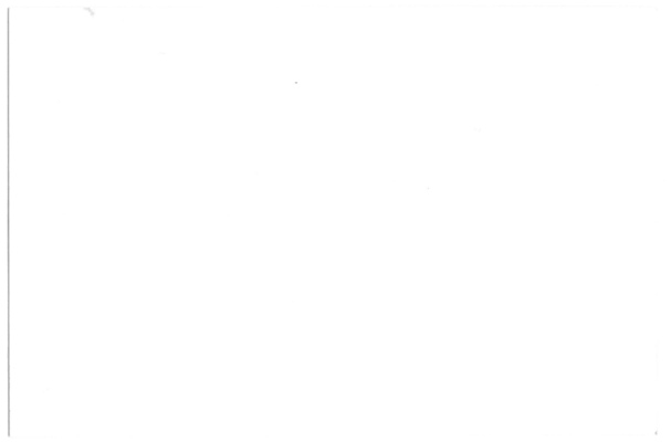 s/ título
s/ título