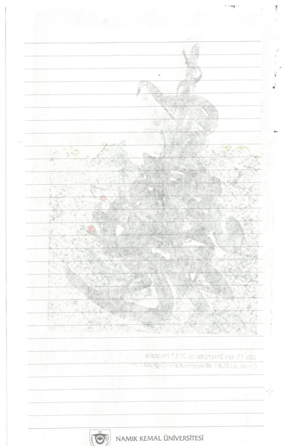 s/ título
s/ título