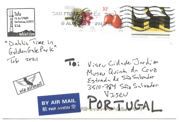 Dahlia Time in Golden Gate Park
Dahlia Time in Golden Gate Park