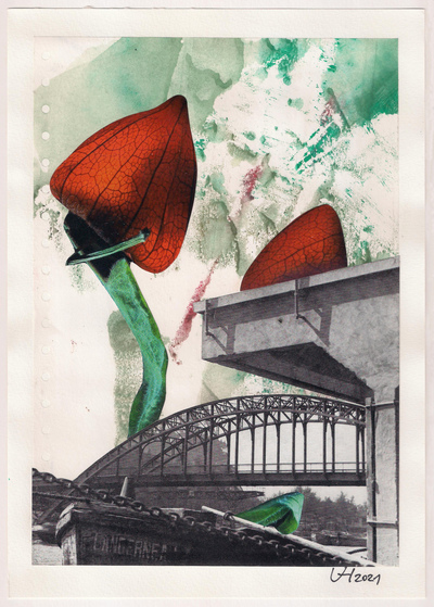 s/ título
s/ título