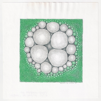 Pisum magnum 2.01
Pisum magnum 2.01