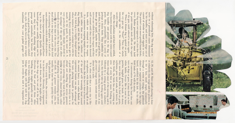 s/ título
s/ título