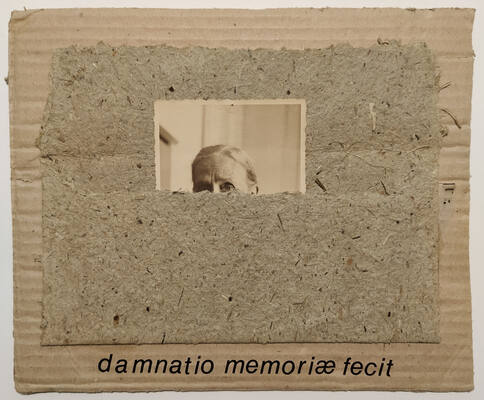damnatio memoriæ fecit
 damnatio memoriæ fecit