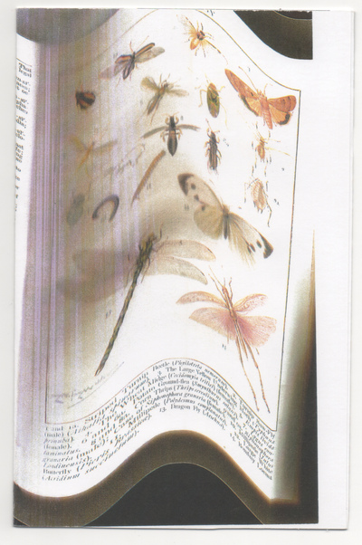 s/ título
s/ título