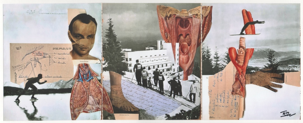 s/ título
s/ título